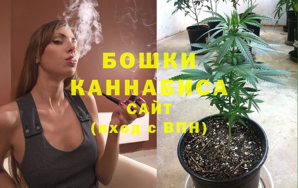 дмт Лиски