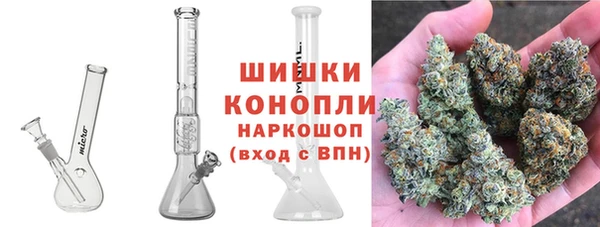 гидра Лихославль