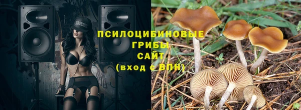 ALPHA PVP Лабытнанги