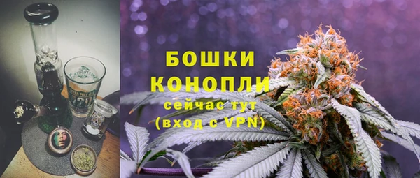 прущие грибы Липки